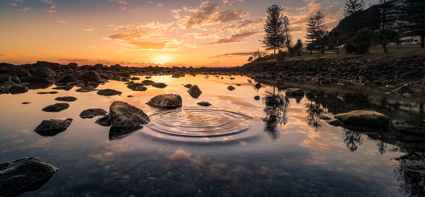 Élet az árnyékban Creativemin Header 5 Img